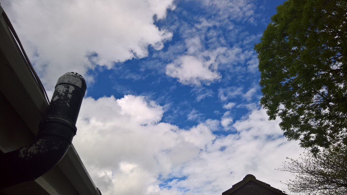 frankie and bennie (@valerietom) on Twitter photo 