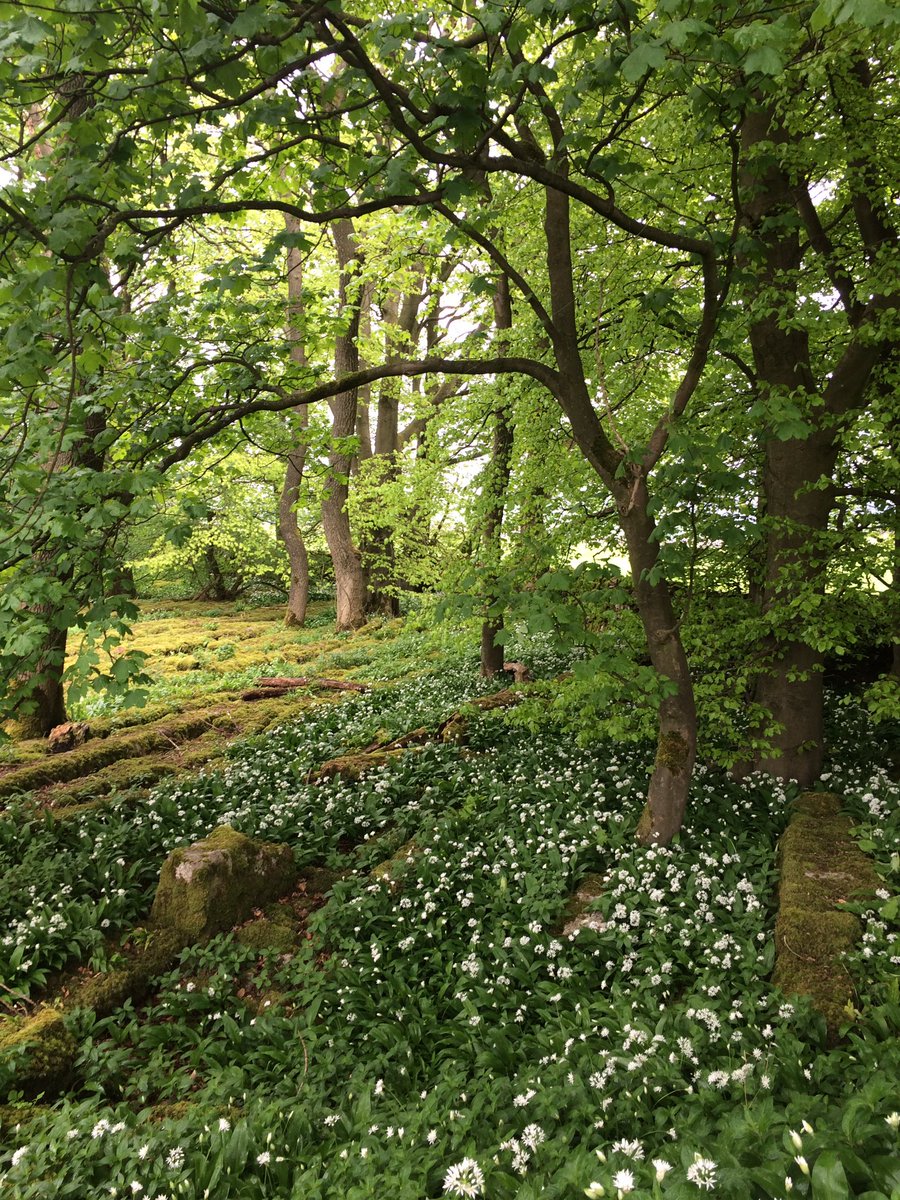 Fab viewings today with a lovely couple who want a unique wedding in the Dales #tipi #YorkshireDales #Yorkshire3Peaks