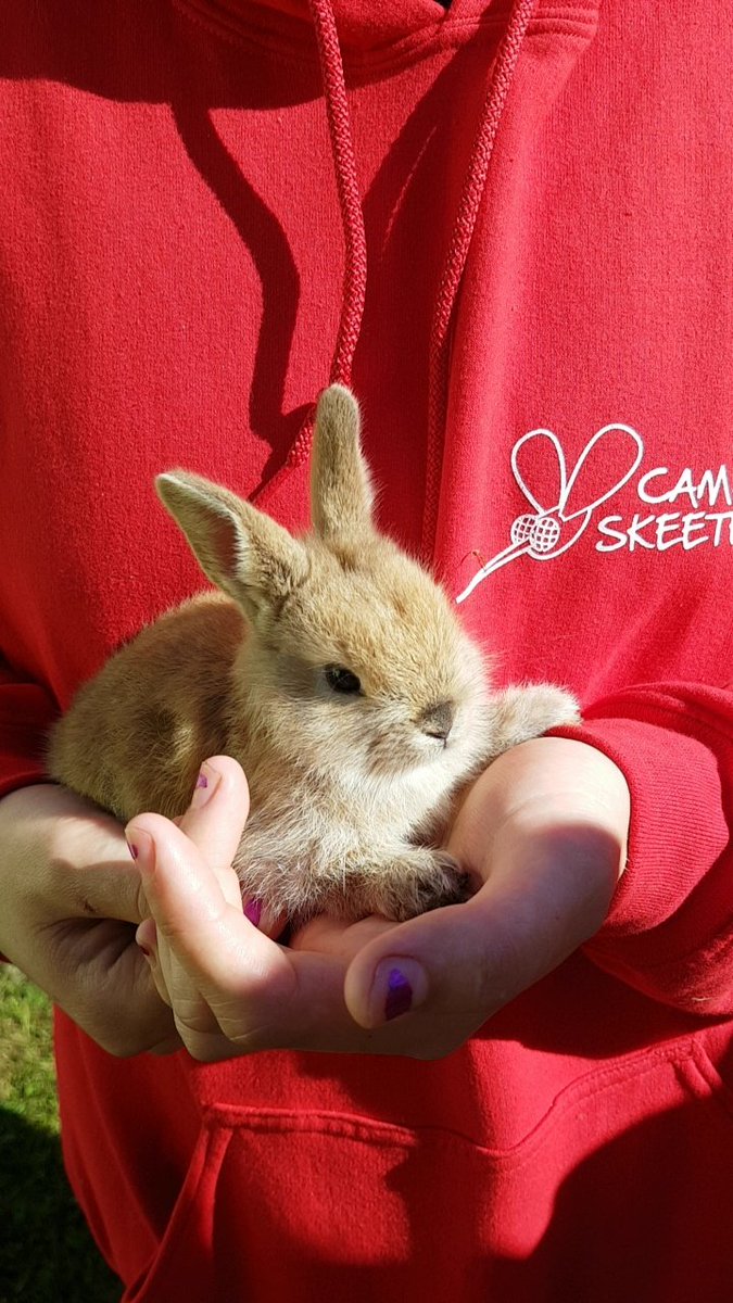 As usual staff is busy at work