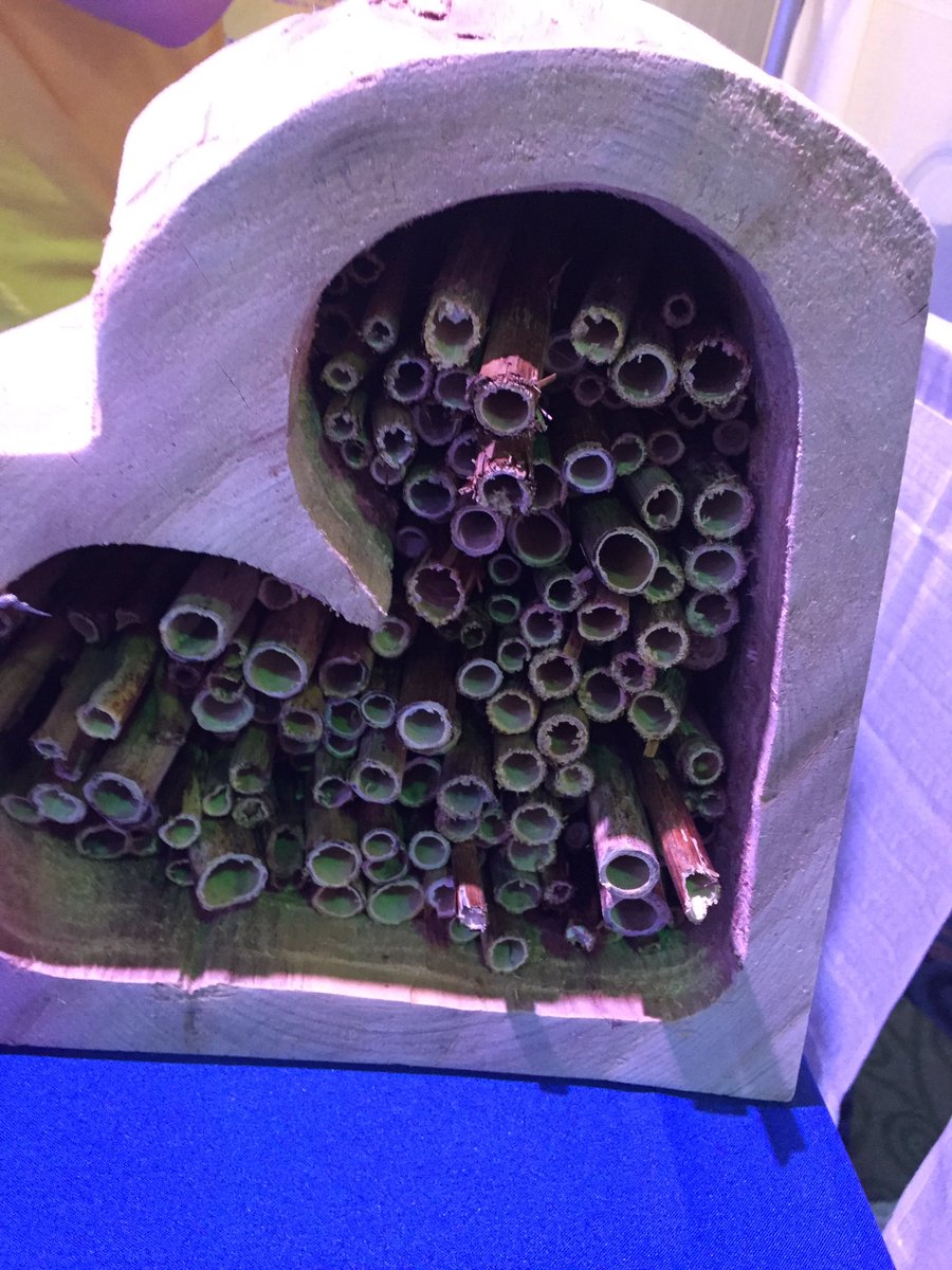 NHSBeesAndLove's tweet photo. Details from our Expo booth https://t.co/0VMTC3dbqh