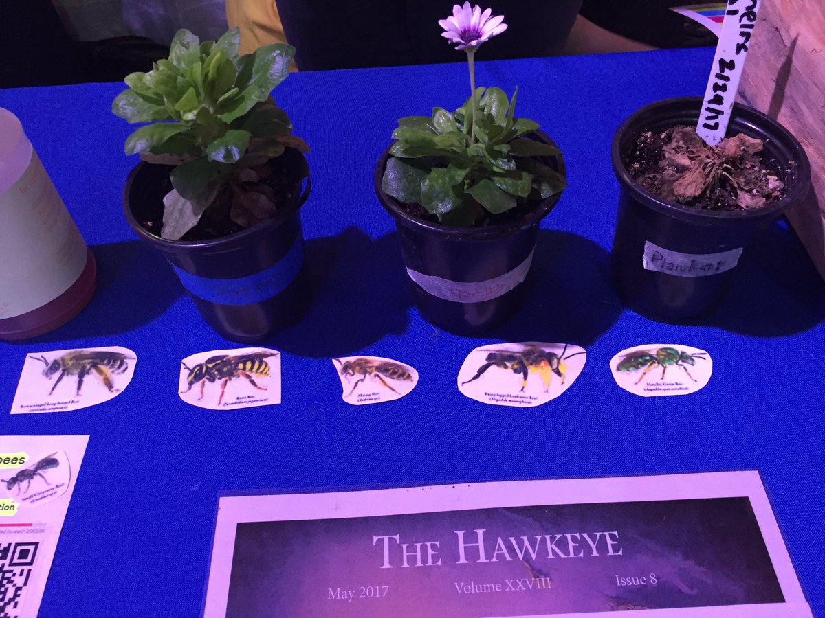 NHSBeesAndLove's tweet photo. Details from our Expo booth https://t.co/0VMTC3dbqh