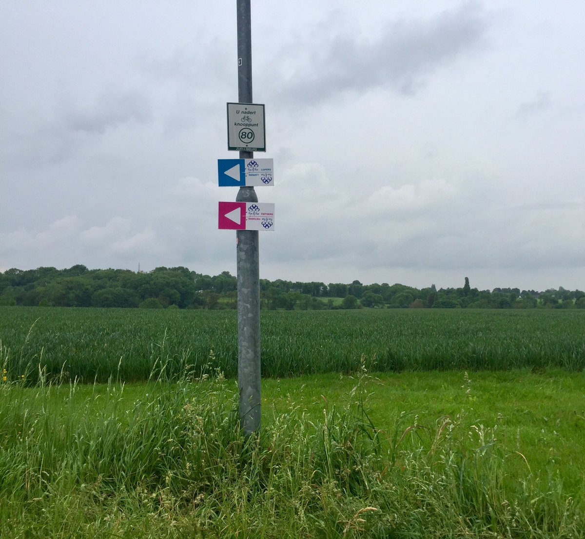 Wat een schitterende editie van <a href="/Five4Five1/">Five 4 Five</a> vandaag met een verdubbeld aantal deelnemers! Trots!