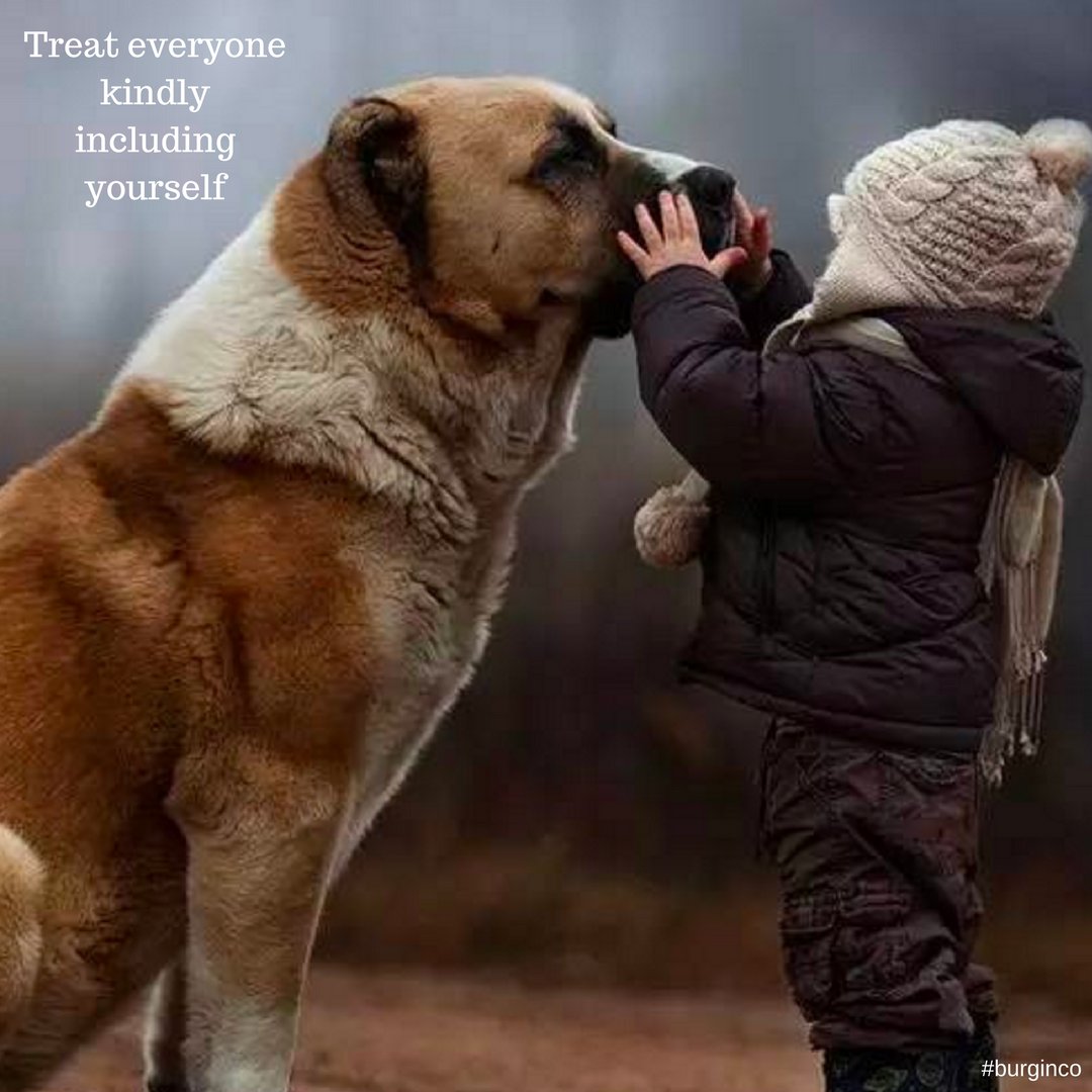 BurginCo's tweet photo. Treat everyone kindly including yourself
#burginco #designbuild #kitchen #bath #remodel #ocremodeling #oc #orangecounty #orangecountyremodel https://t.co/NEO2XOvNXE