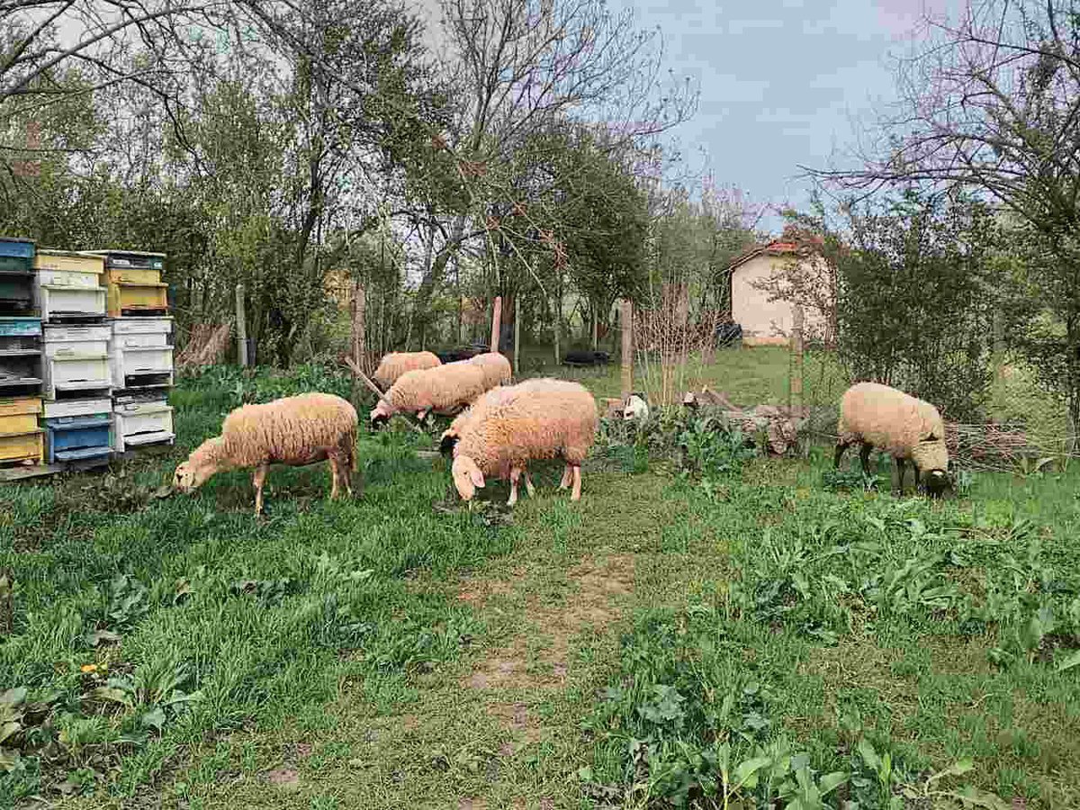 Does it get more rural than that?