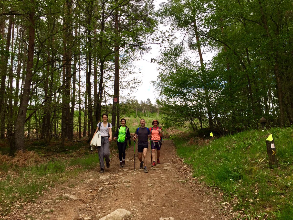 Trailwalker_FR's tweet photo. Entre forêt de st leger, abbaye de la pierre qui vire et lac de st Agnan, les équipes profitent du #morvan #trailwalker #marchezavecoxfam https://t.co/V8D469A4IU
