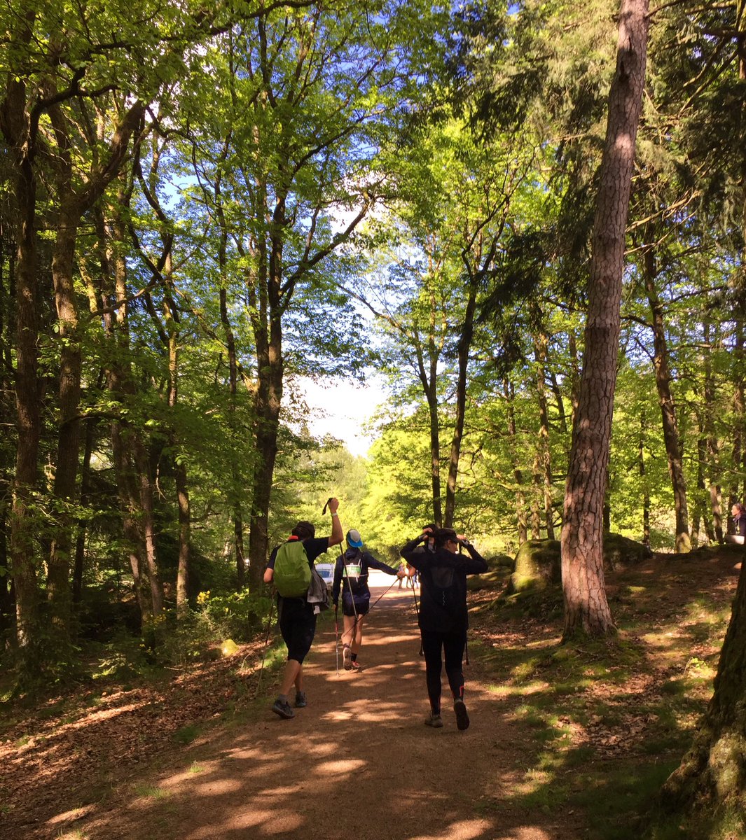 Trailwalker_FR's tweet photo. Entre forêt de st leger, abbaye de la pierre qui vire et lac de st Agnan, les équipes profitent du #morvan #trailwalker #marchezavecoxfam https://t.co/V8D469A4IU
