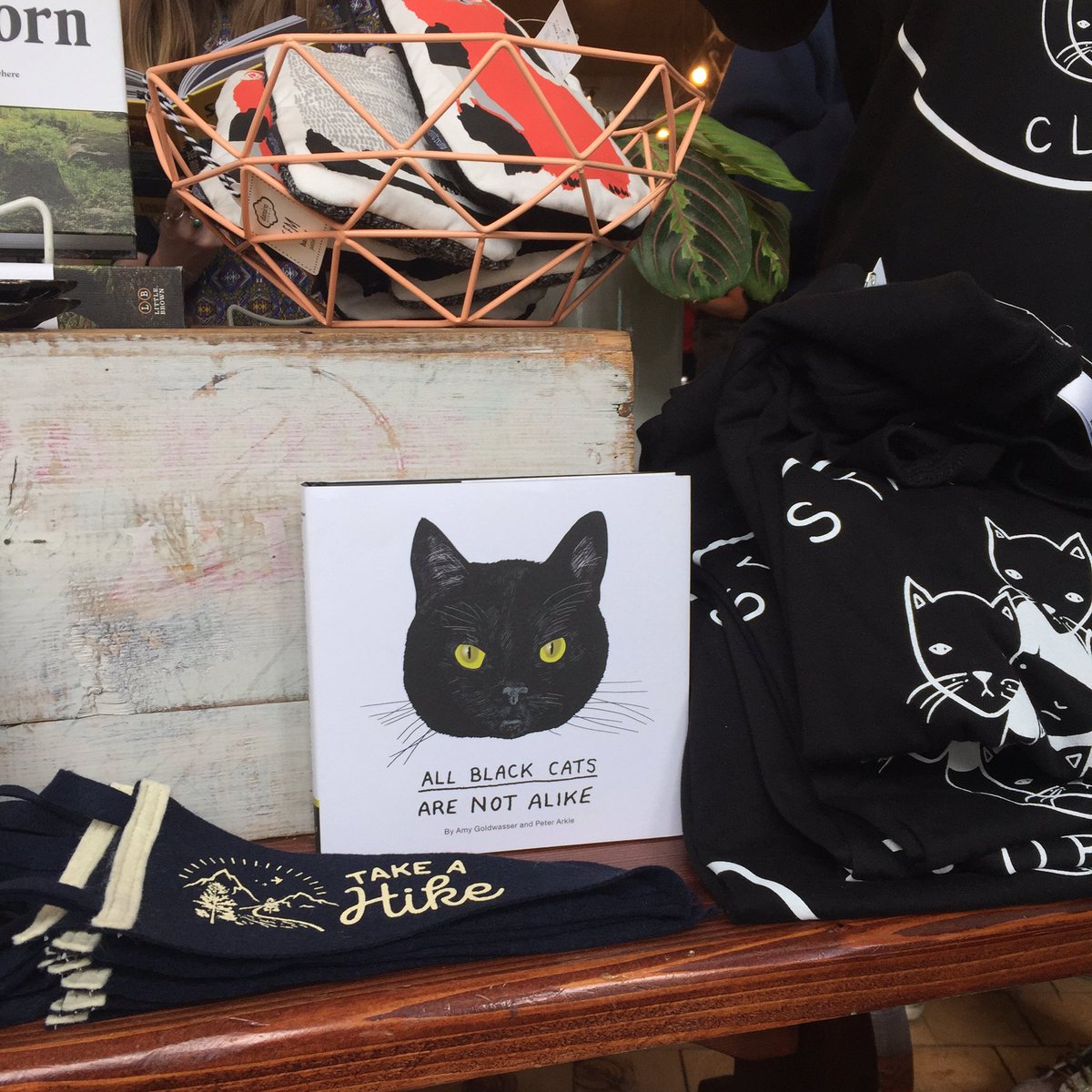 MargotAtwell's tweet photo. Look what I found at Pittsburgh's Cat Crawl @AllBlackCatsAre ๐ธ#catcrawl #Caturday https://t.co/thQnKQmRBN