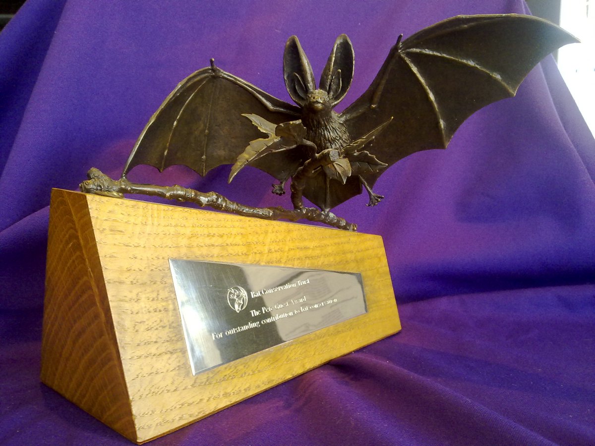 Bat groups the UK can now put forward nominations for the Pete Guest Award bats.org.uk/pages/national…