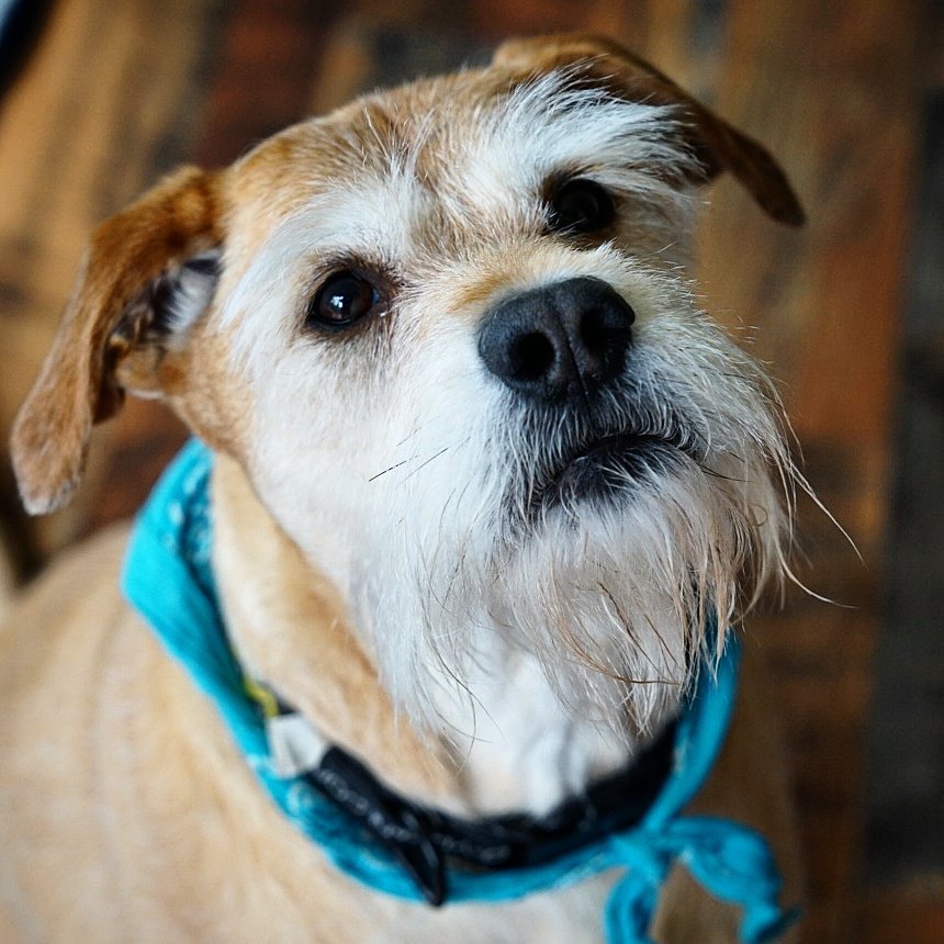 Morning coffee with Tristan