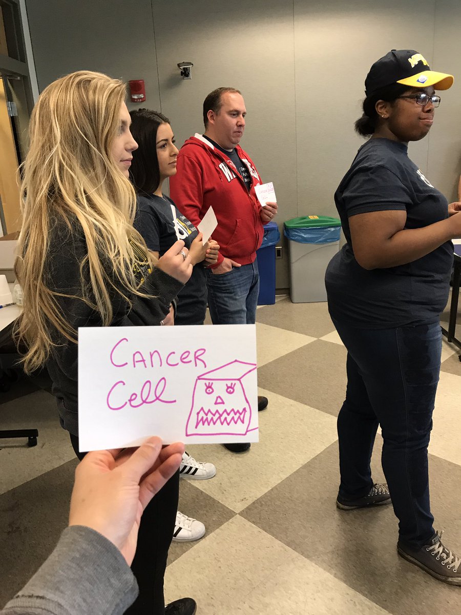 DFB2017's tweet photo. This morning, #DFB2017 instructor Eden, taught us about development and disease! https://t.co/nUl57EZko6