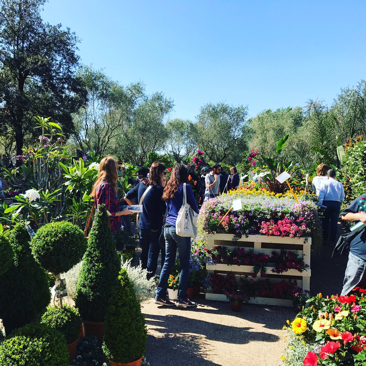 PaesaggioFest's tweet photo. Limoni, rose, lavanda, garofani, margherite: tantissimi profumi verdi al Festival, oggi e domani fino alle 20.30! 🌺 #FVP2017 https://t.co/d87VfoooG8