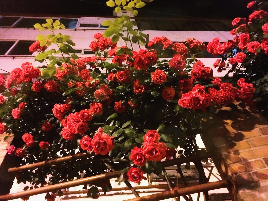 _YEOSHINTH's tweet photo. ig gyuri_88: อีกหนึ่งวันที่งดงามกับคุณ :)
https://t.co/e3qbjTaydq https://t.co/5oYzWWpyP6