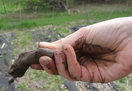 ASA_CSSA_SSSA's tweet photo. Your eyes, hands, and a pH strip: #soilhealth is in your power! #Soils Matter! Read more at https://t.co/cFly8z5tJr https://t.co/j1whJefT06