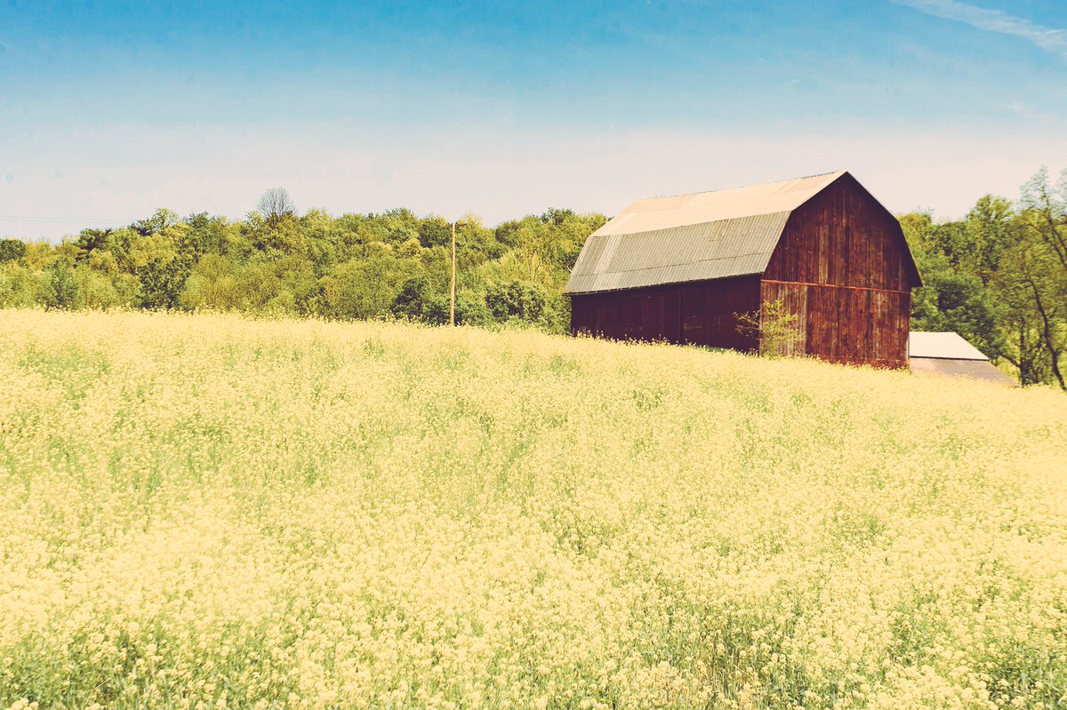mjohnsonphoto's tweet photo. Caught this barn in Groveland,NY. #nikonlove #nikon #istoppedforthis #westernnewyork #hometown https://t.co/rfK1E7KRnH