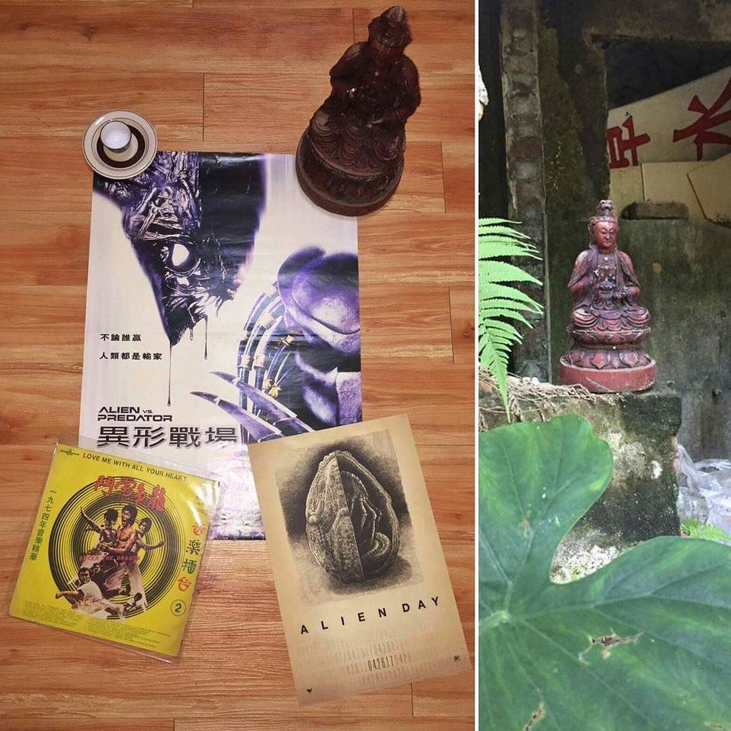 oneredbrucelee's tweet image. Guanyin came down from the mountains of Taiwan to hitch a ride to the US! We'll find her a good home! #TRADE4 [Ali… ift.tt/2qFuKLH