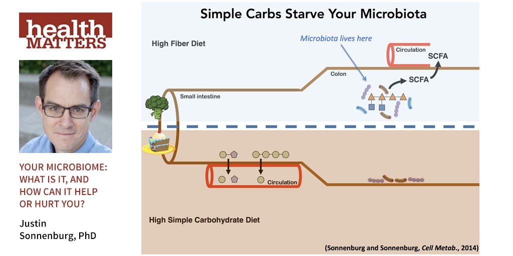najnajonyalb's tweet photo. The starving microbiota eats you. Justin Sonnenburg, PhD. #microbiome #HealthMatters2017 https://t.co/oe384dZzf6
