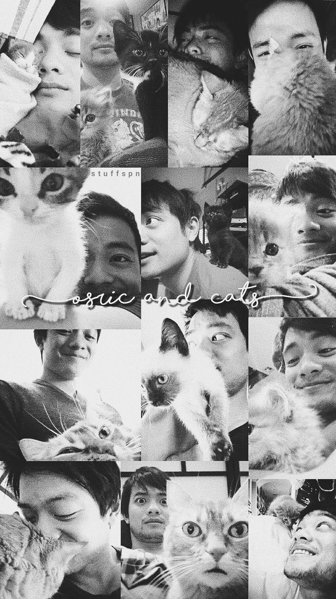 stuffspn's tweet photo. 🐈 lockscreen free osric &amp;
cats 🐈

• rt se salvar.
• fav se gostar.
• print se usar.

//Tami https://t.co/kajpB35gFt