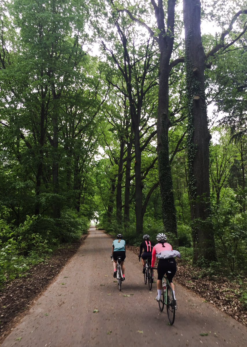 bettibox's tweet photo. Nice ride. 💯 @Standertbikes https://t.co/37B4aRZ8nc