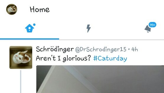 DrSchrodinger15's tweet image. Twitter secretary has been neglecting her duties #notificationoverload #keepuphuman