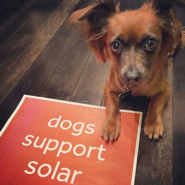 #sacramento #916 #solarcontractor #energy #solarfact