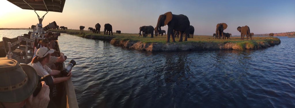 BrandBotswana's tweet photo. #PhotoOfTheDay of #Botswana on #Twitter posted by visitors. Thanks for sharing https://t.co/oC8YzADpoN