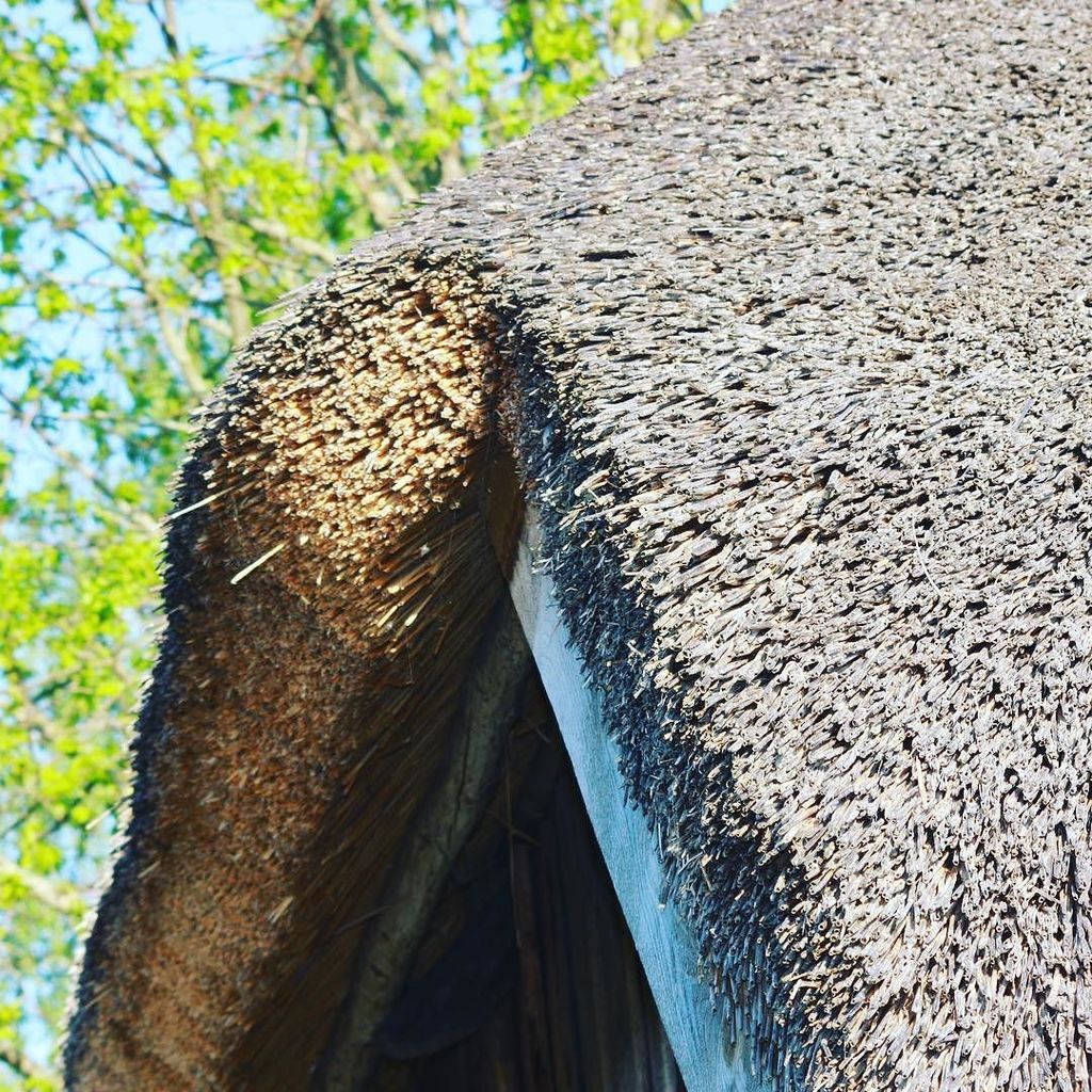 RobertsVilks's tweet image. #muzejunakts #brivdabasmuzejs #latvia #riga