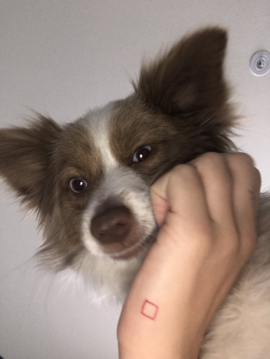 beamiller's tweet photo. omg https://t.co/Xsbhg639pk
