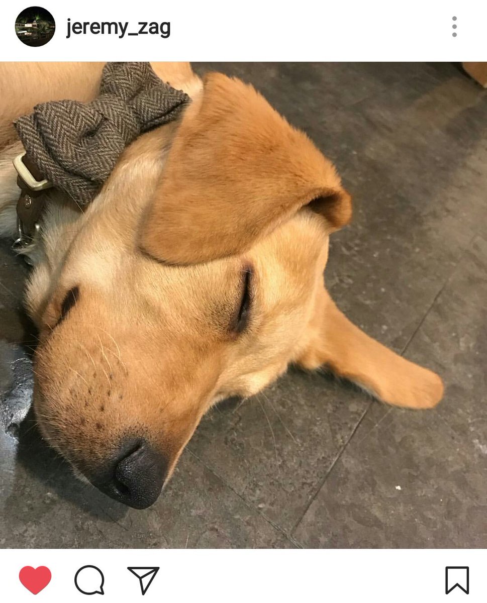 Actividad de Jeremy 💁 Hace aproximadamente 12hs