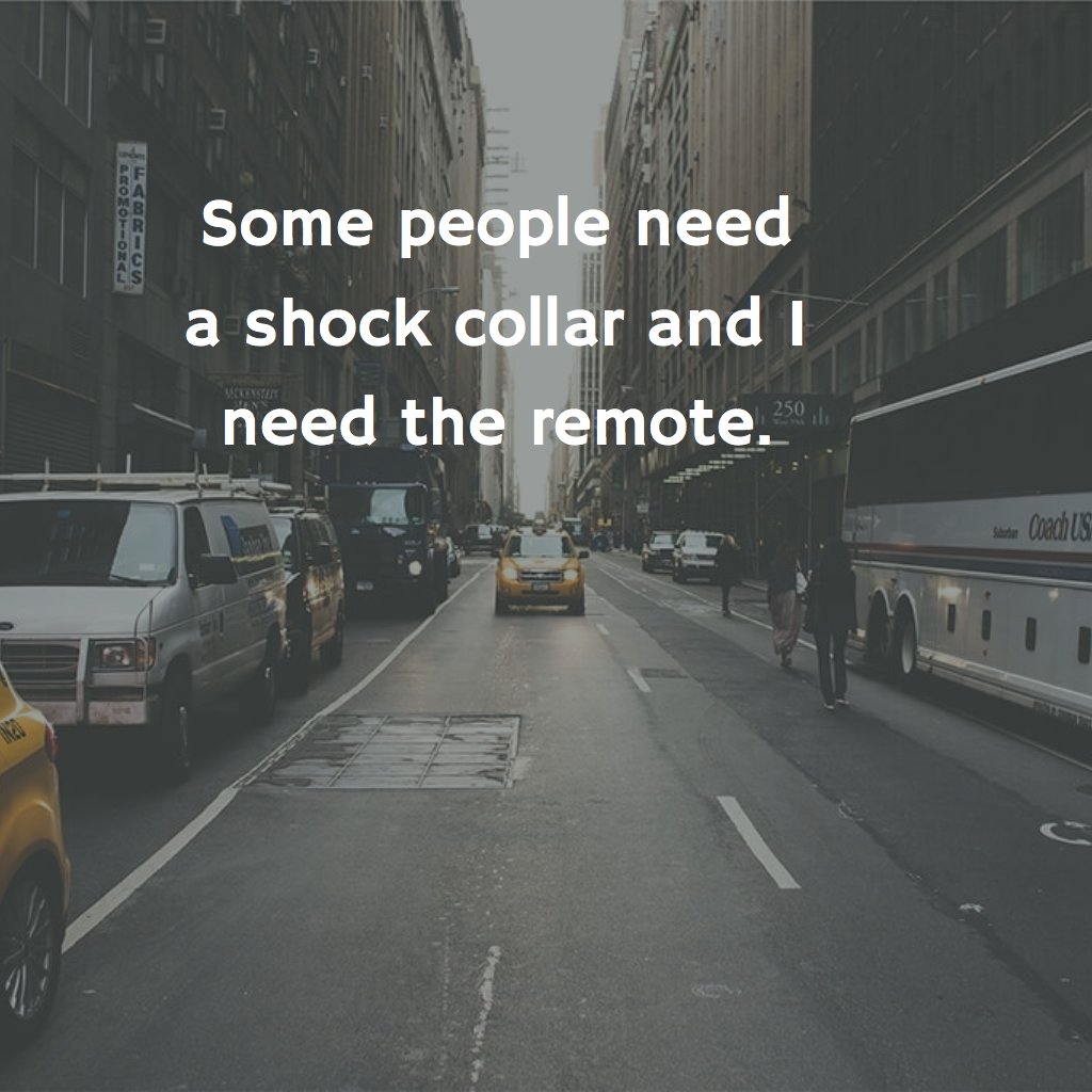 hwt_official's tweet photo. Some people need a shock collar and I need the remote. https://t.co/UjkgvKPTqb