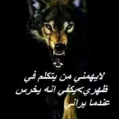 aa8663906's tweet photo. #ابوامير_الحارثي https://t.co/fD043TsE3Z