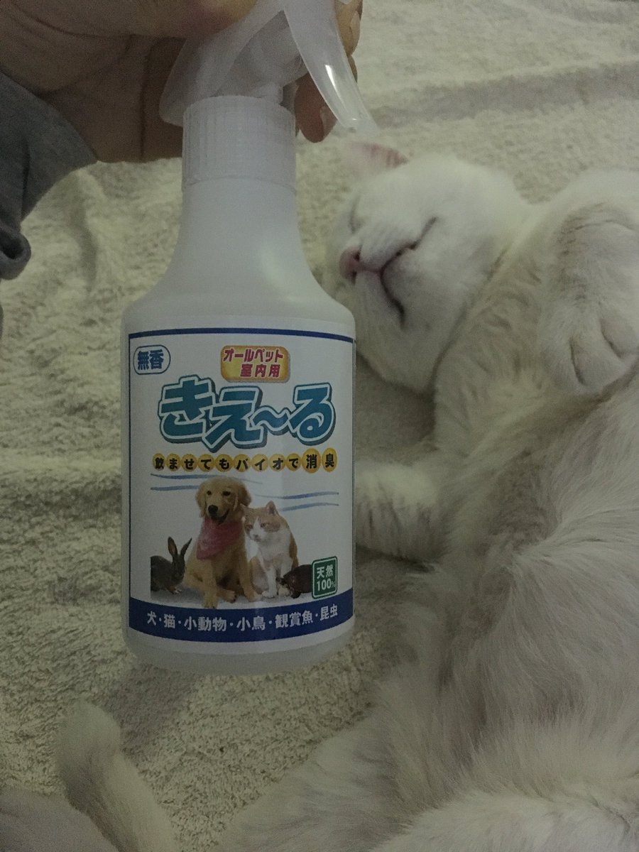 猫が口内炎になってしまったら ツイナビ ツイッターの話題まとめ