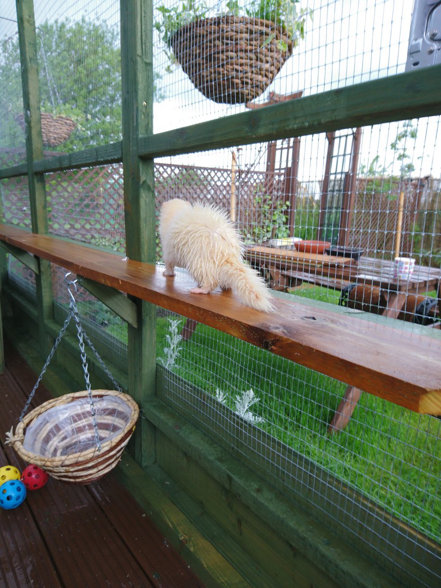 dookandstash's tweet photo. Rocking the rain shower look #fuzzit https://t.co/XLlv6D82t2