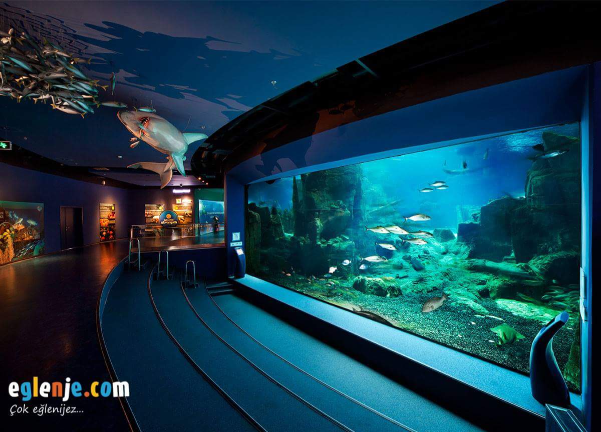 Dünyanın en büyük tematik akvaryumu olan İstanbul Akvaryum için en uygun biletler eglenje.com/istanbul-akvar… adresinde. #istanbulakvaryum