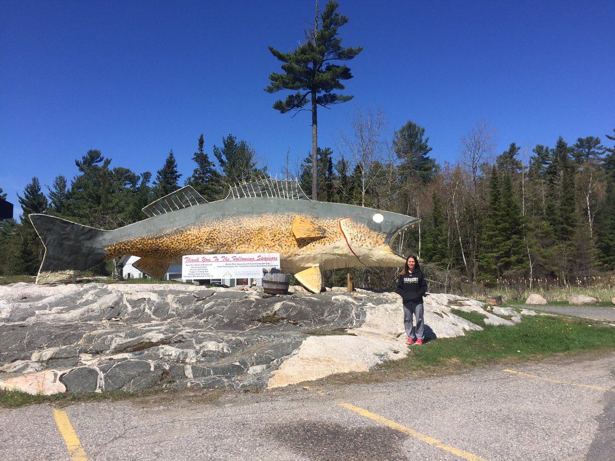 OutdoorsDon's tweet photo. Wonder which type of fish is popular in this part of Ontario?  Marten River #GiantWalleye #GoFurther150 @FordCanada https://t.co/g0FX2WHKiJ