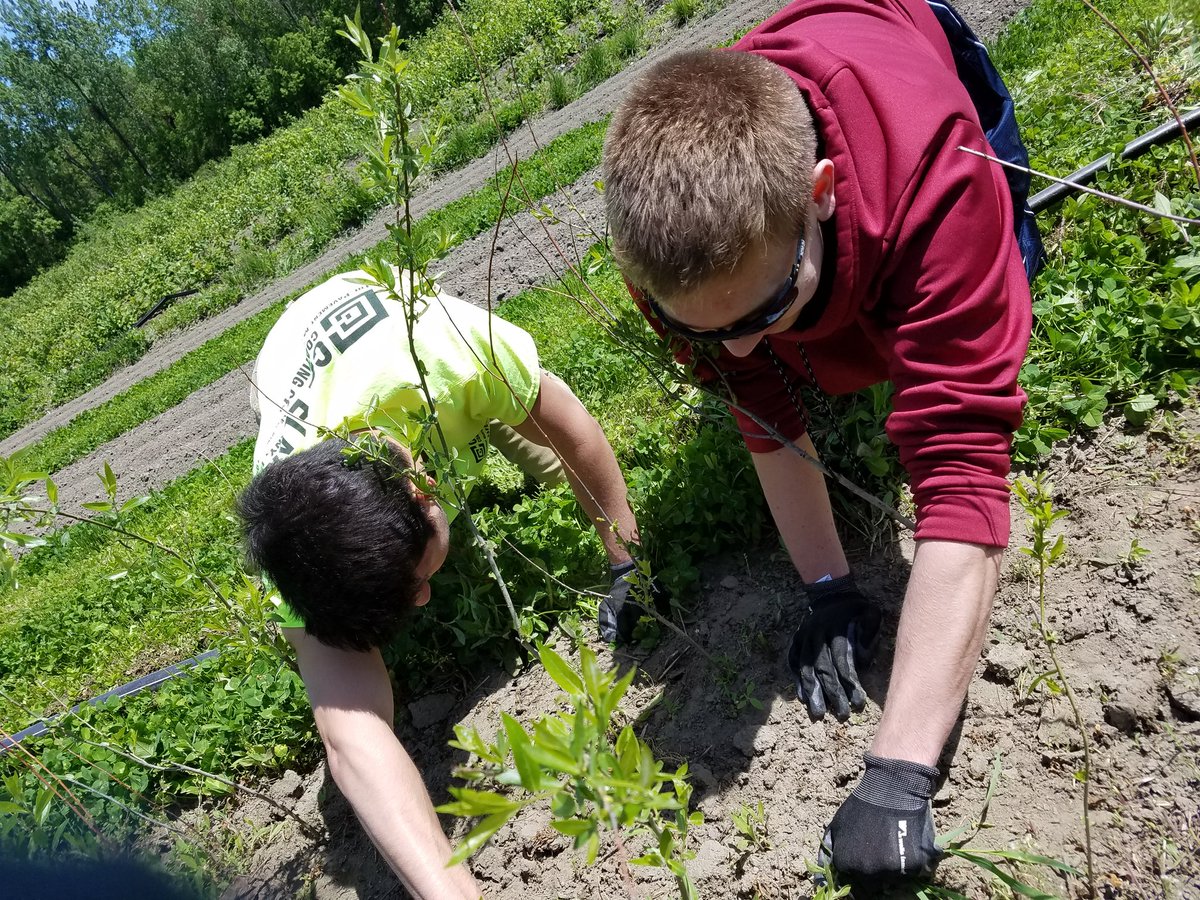 BeckyLindley77's tweet photo. Thanks to the @IntervaleCenter for having us, @Northeastern #NUterm loved volunteering with you today! #NUtermVT2017 https://t.co/m5nSDe7Aai