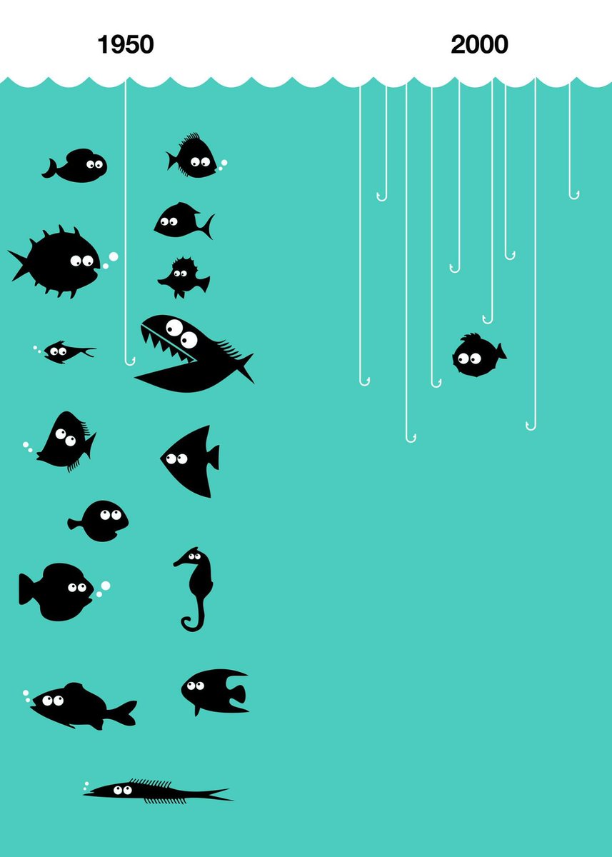 NoirSJ's tweet photo. Stop eating overfished species #SlowFood #Slowfish2017 #Sustainability https://t.co/HF3wCscu8M
