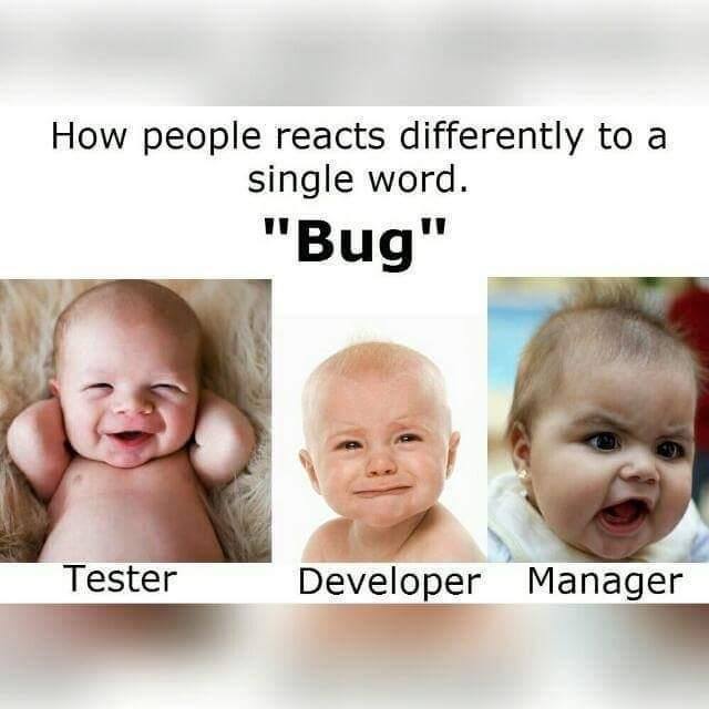 prohumorbot's tweet photo. Reactions to bugs
#programmer #funny https://t.co/KfcJycFd08