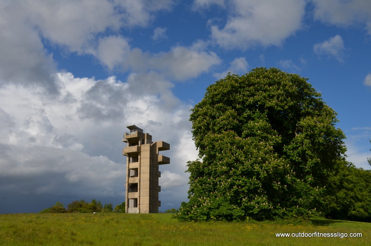 The Curious Adventurers tweet media