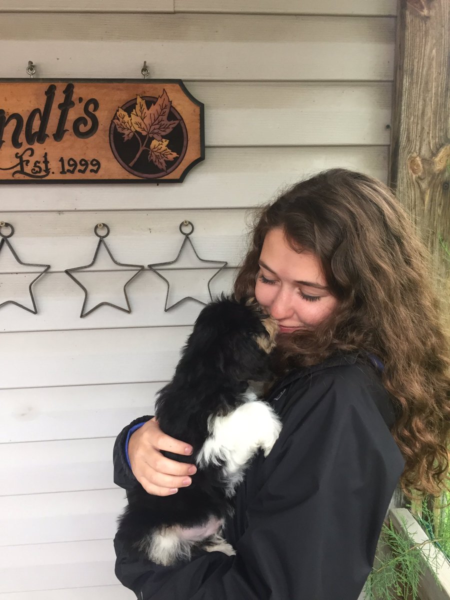 SydWags09's tweet photo. Help us pick a name!! https://t.co/n7tqLAlKac