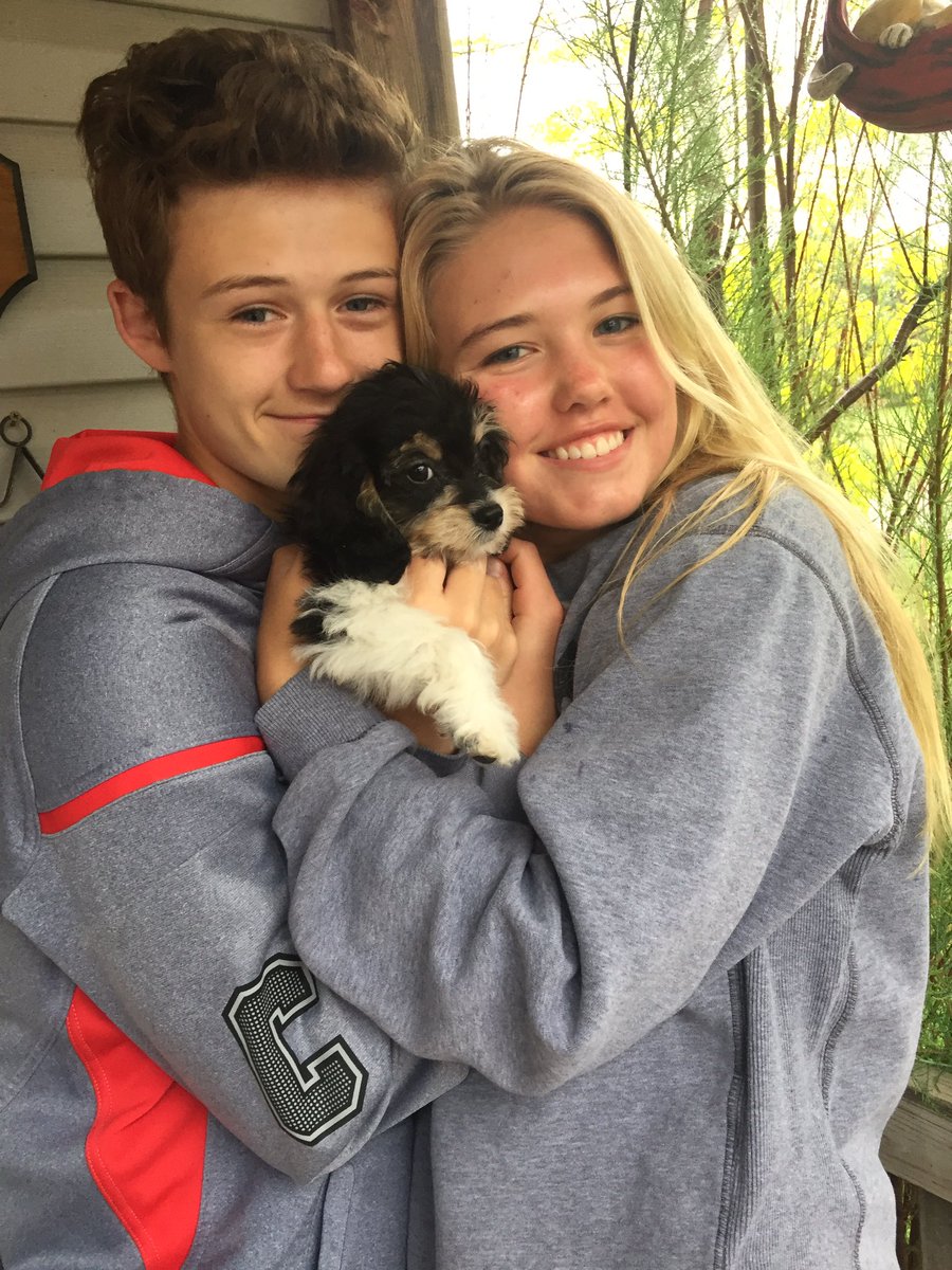 SydWags09's tweet photo. Help us pick a name!! https://t.co/n7tqLAlKac