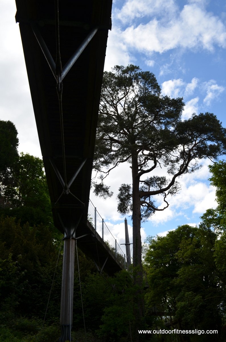 The Curious Adventurers tweet media