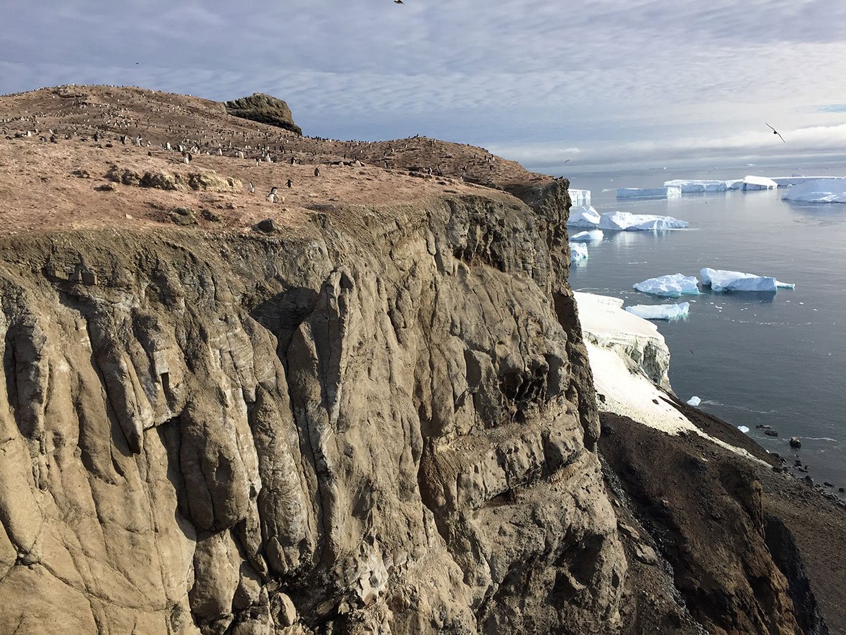Less than 1 of Antarctica is icefree, making this rocky outcrop prime