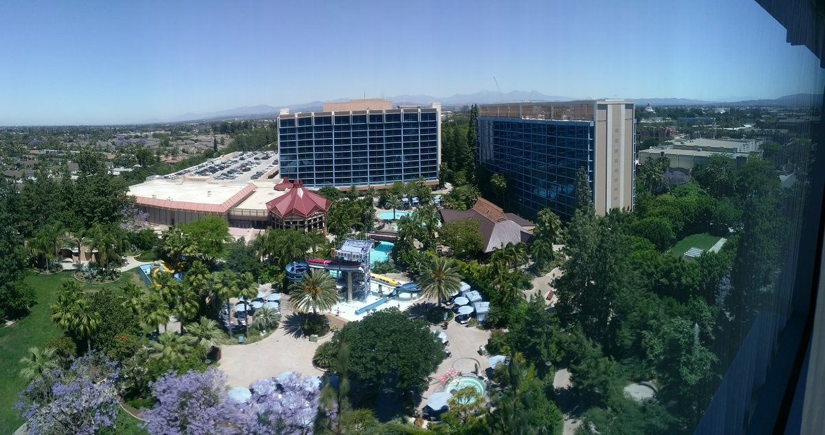 Pup Zero tweet media