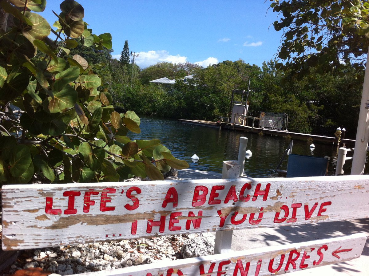 TheScubaGuru's tweet image. Life's a beach... then you dive! #scubadiving