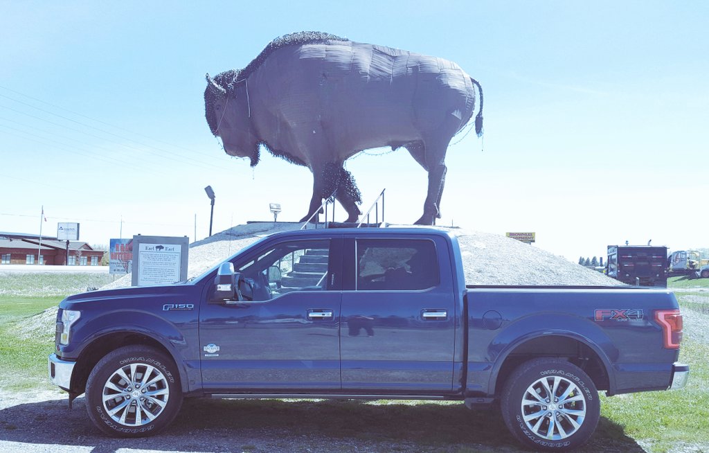 ShannsView's tweet photo. @FordCanada Earl the Bison is 19ft high and 27ft long making him the largest giant we have seen today on #Ontario hwy11 #GoFurther150 #canada150 https://t.co/fehUqKElxx
