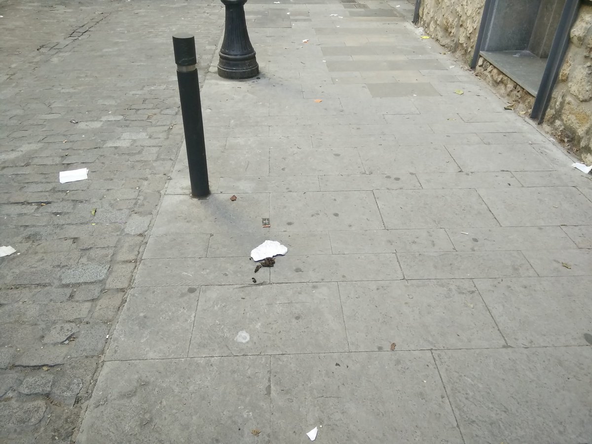 BCNoNeta's tweet photo. 20-05-2017, 19:00 hores La Sagrera, Carrer Monlau-Plaça Masadas @bcn_ajuntament @BCN_Ecologia @empanat https://t.co/r5puwf9ELr