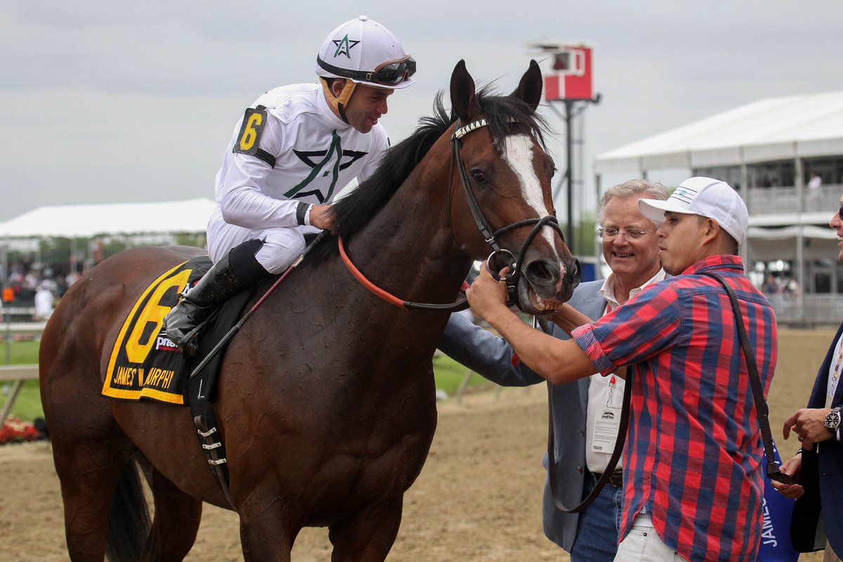 The rise of Sunday Silence Page 26 Horse Racing Forum USA