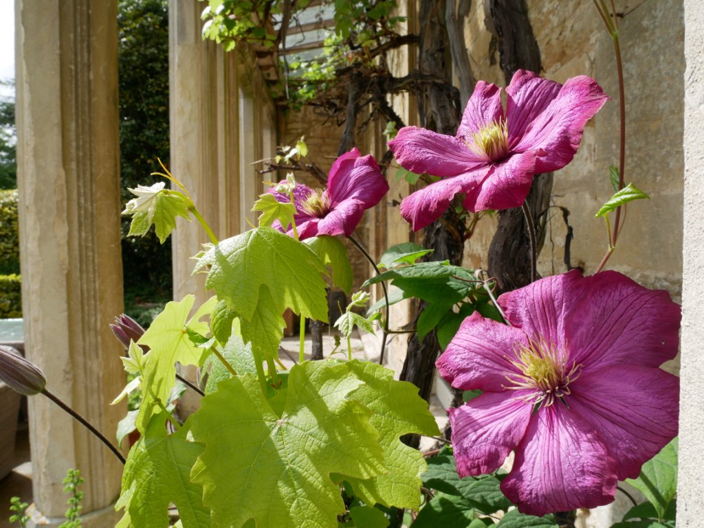 Barnsley_House's tweet photo. Thank you so much to everyone who came along to explore #BVGFestival today! #Cotswolds #gardens https://t.co/NtsJUPYLT0