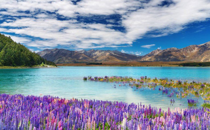 ofthetrail's tweet photo. "Fall in love with New Zealand" via @s_canaves #landscapes #adventure #peace #seculsion #hiking #wildlife #people https://t.co/0x4LK8Gl4F https://t.co/1kjz8QtTKy