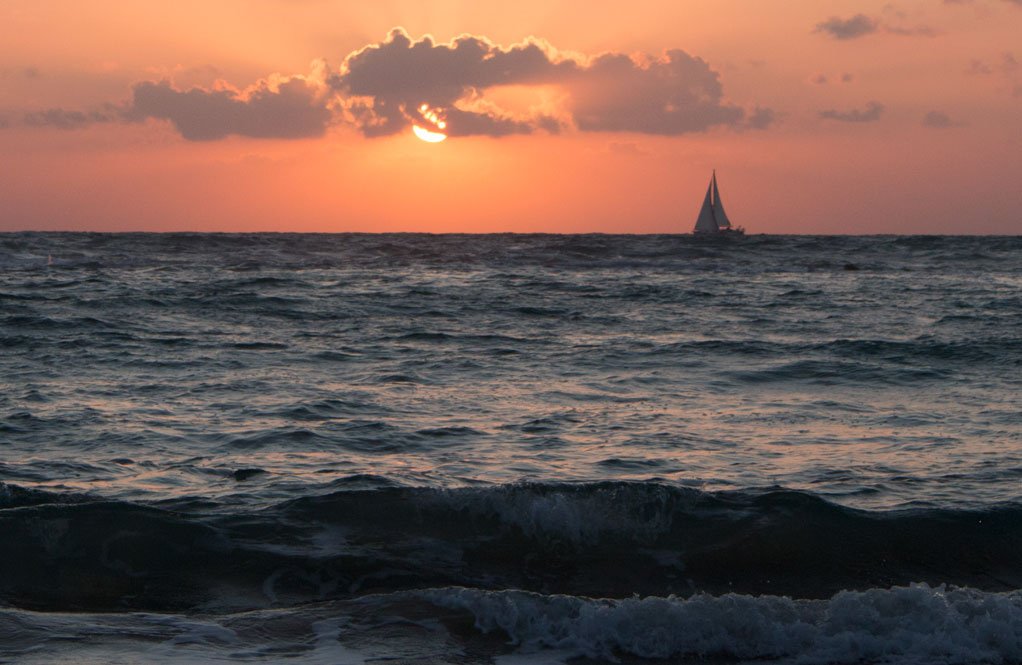 Aka-vish tweet media